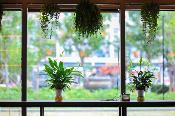 Guide Pratique pour Lancer un Concours de Courts-Métrages Destiné aux Jeunes Talents Audiovisuels