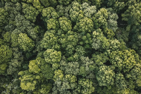 Carte grise à villeurbanne : simplifiez vos démarches rapidement